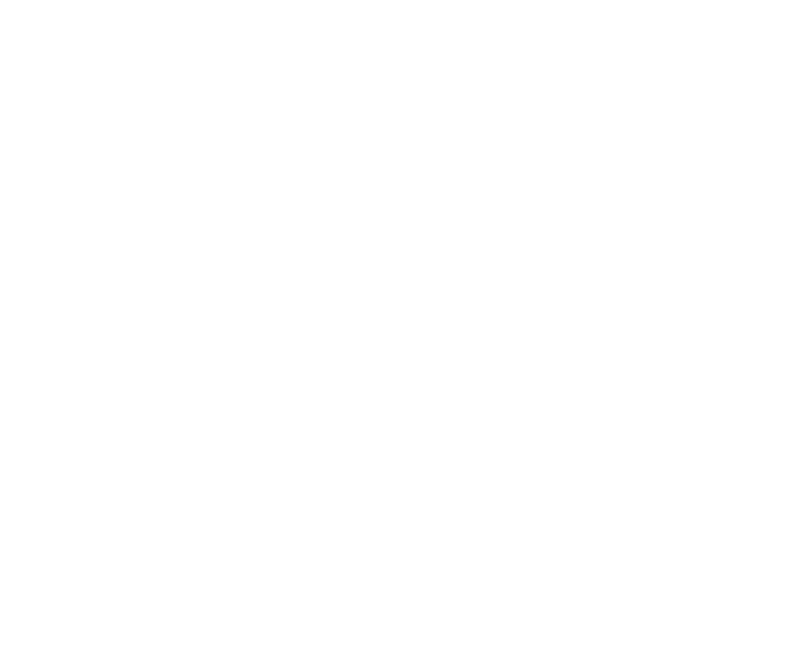 Pinguini Tattici Nucleari Store